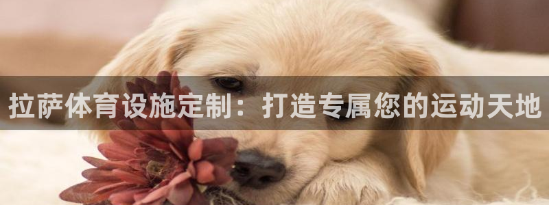 尊龙凯时有限公司
