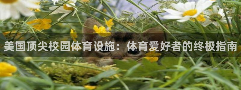 尊龙d88平台登录