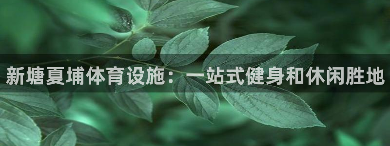 尊龙凯时的钱能退回来吗