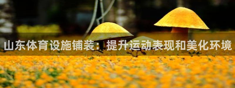 尊龙实业有限公司是正规还是仿
