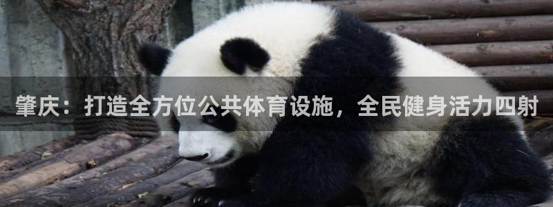 尊龙人生就是博一下首页