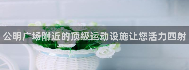 尊龙 5