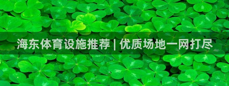 d88尊龙官网手机app