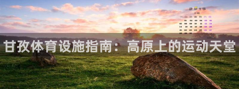 尊龙app下载官网