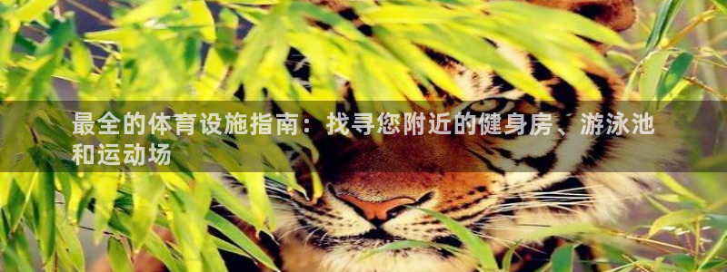 尊龙凯时的最新消息