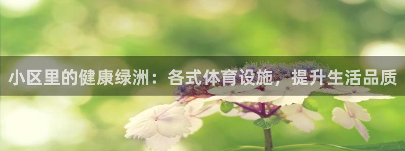 凯时平台怎么样