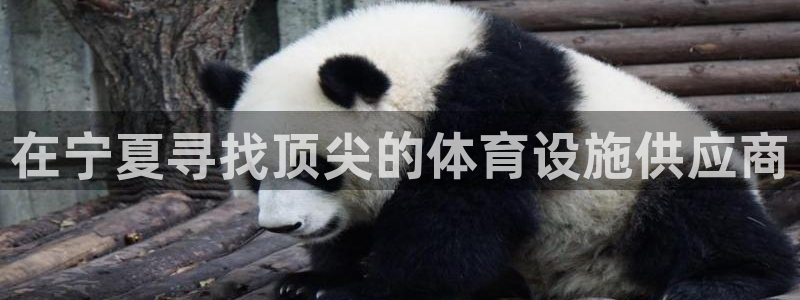 尊龙在线登录官网