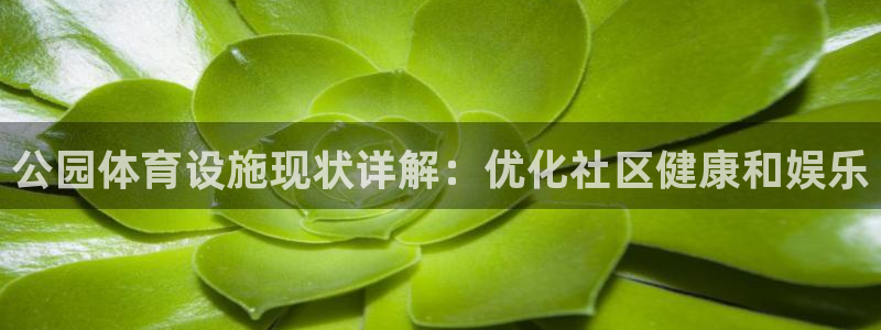 尊龙凯时人生就是博游戏网站