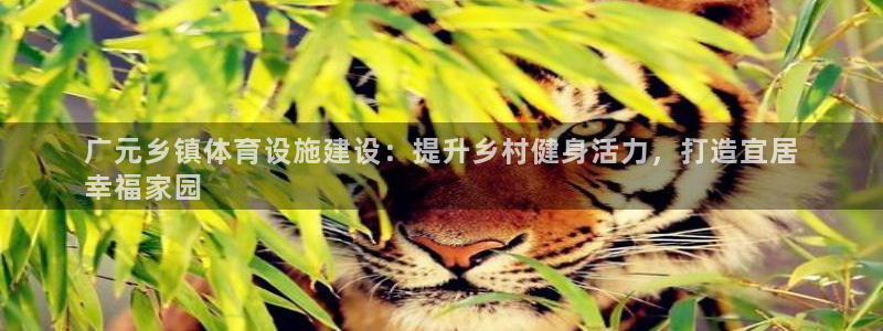 尊龙凯时代理
