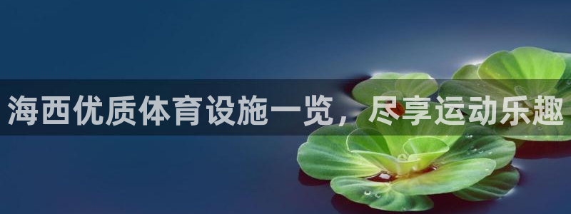 K66凯时国际平台官网