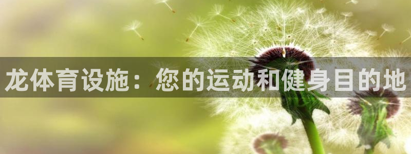 尊龙人生就是博网站