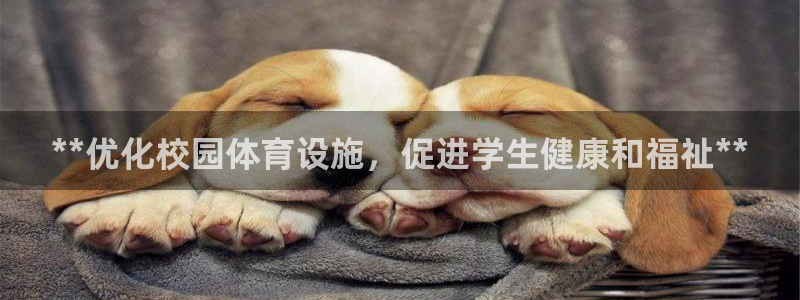 尊龙t300和t400哪个好