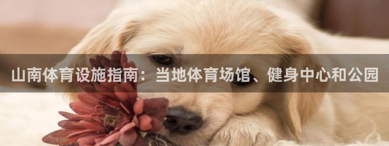 尊龙凯时 - 人生就是搏手机登录