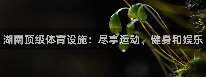 尊龙人生就是博d88 - Z6尊龙官方网站