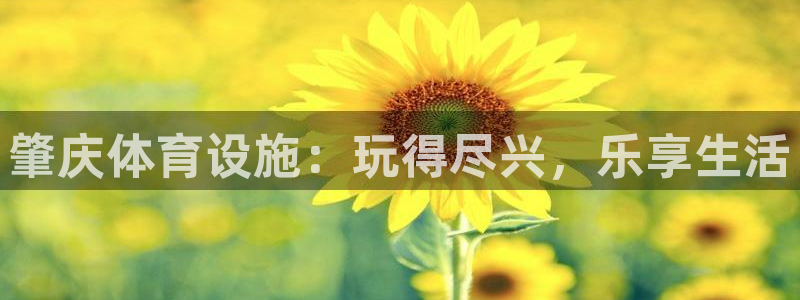 尊龙凯时口碑好吗