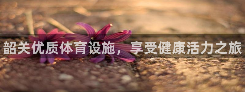 尊龙凯时网娱乐最新版