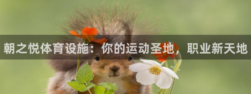尊龙凯时凯发官网
