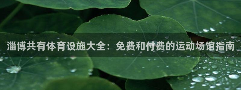 尊龙凯时有限公司