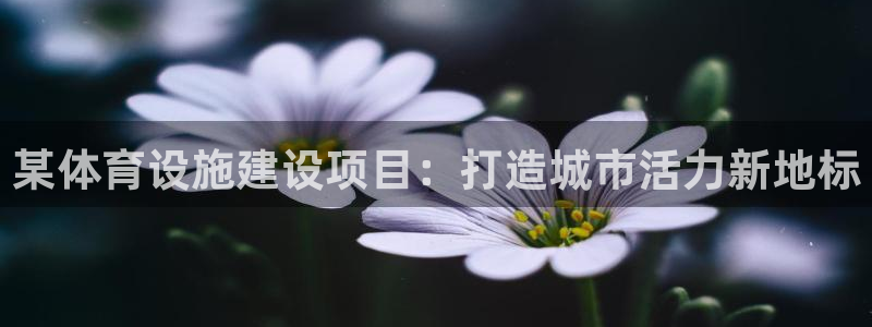 Z6尊龙凯时官方