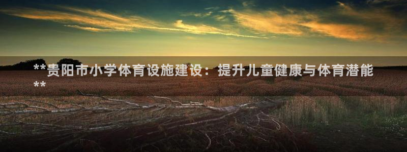 尊龙凯时平台有没有不到账的