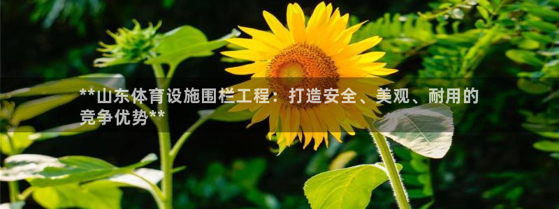 尊龙这个平台怎么样