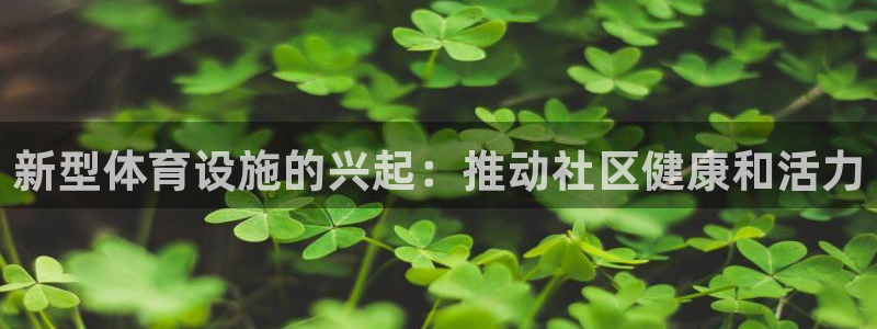 尊龙官网手