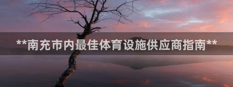 尊龙人生就是博手机版下载