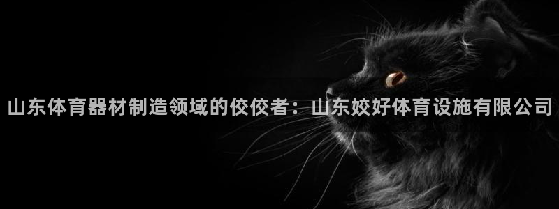 尊龙凯时为什么输了钱