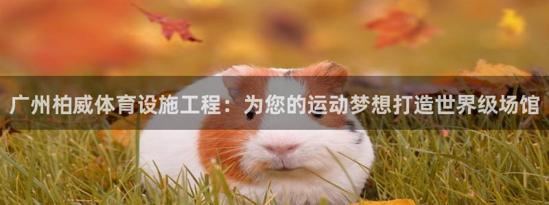 尊龙凯时一人生就是博官网