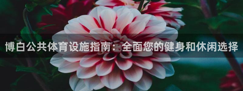 尊龙平台有谁玩过