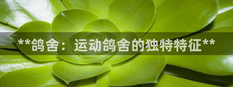 尊龙凯时是不是合法