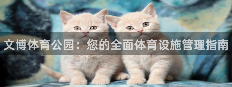 尊龙官网手