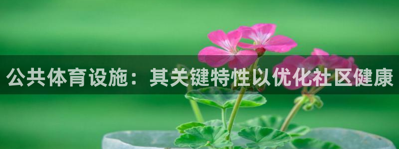 尊龙人生就是博登录首页