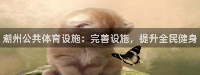 尊龙贴吧