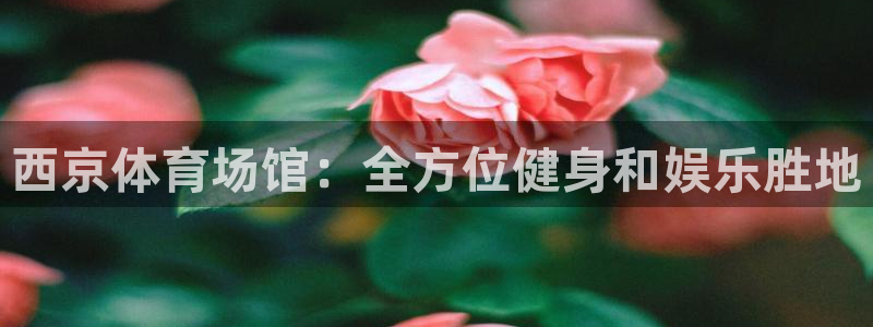 百度一下尊龙
