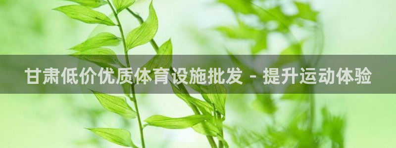 z6尊龙官网平台下载