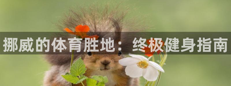 尊龙人生就是博下载
