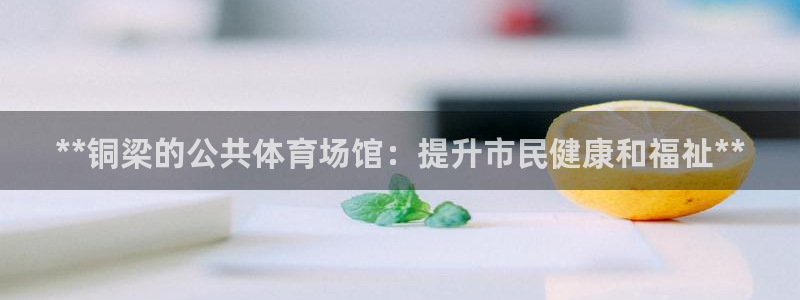 尊龙官网手机版下载