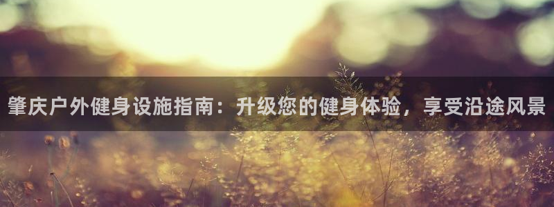 尊龙物流怎么样