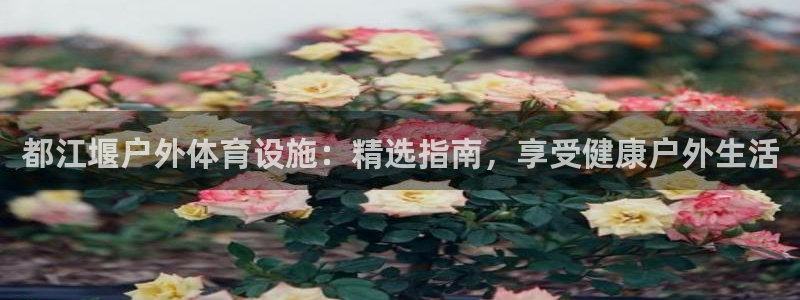 尊龙凯时人生就是博中国官网