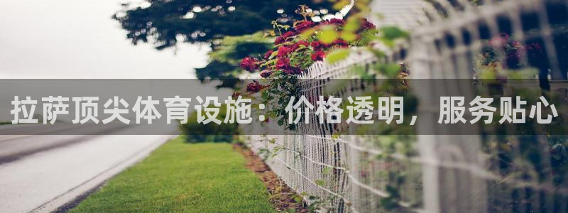 尊龙ag旗舰厅下载