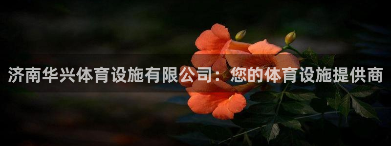 尊龙网站注册站注册