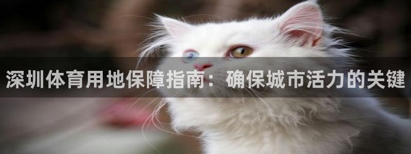 凯时kb88kb88