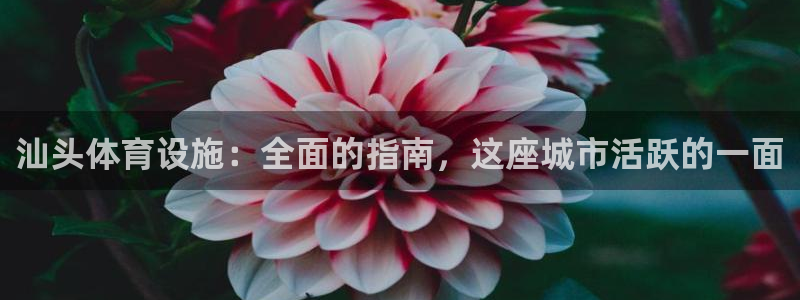 凯时K8国际