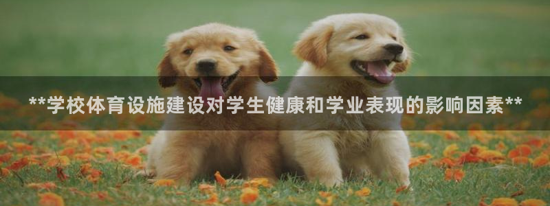 尊龙凯时人生就是博中国官网