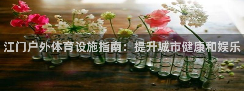 Z6尊龙老版