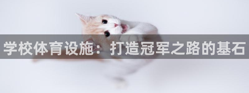 凯时网上官方网站