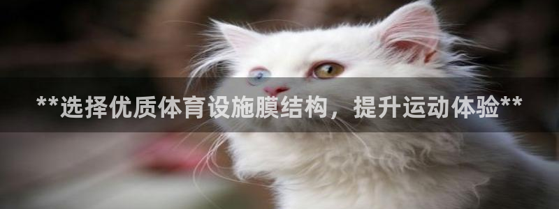 尊龙手机官方客户端下载