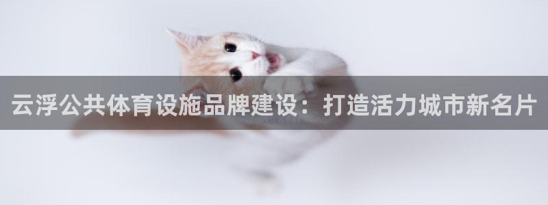 尊龙凯时泰安