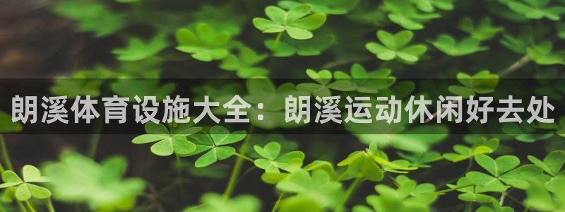 尊龙凯时赢不了